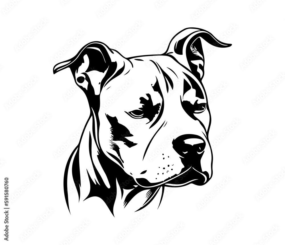 american pit bull terrier, american pit bull terrier Dog Face SVG, black and white american pit bull terrier vector american pit bull terrier, american pit bull terrier Dog Face SVG, black and white american pit bull terrier vector