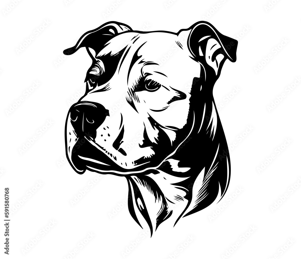 american pit bull terrier, american pit bull terrier Dog Face SVG, black and white american pit bull terrier vector