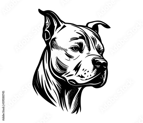american pit bull terrier, american pit bull terrier Dog Face SVG, black and white american pit bull terrier vector