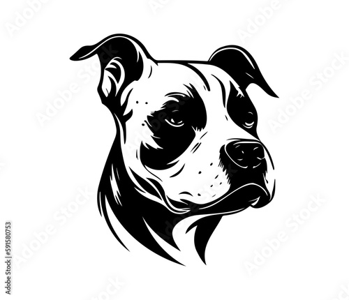 american pit bull terrier, american pit bull terrier Dog Face SVG, black and white american pit bull terrier vector