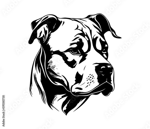 Foto american pit bull terrier, american pit bull terrier Dog Face SVG, black and whi