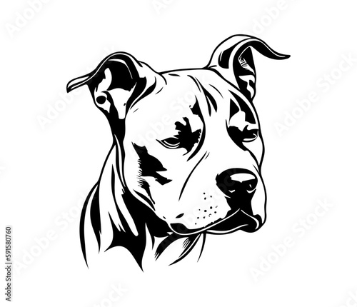 american pit bull terrier, american pit bull terrier Dog Face SVG, black and white american pit bull terrier vector