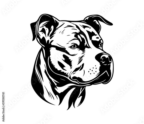 american pit bull terrier, american pit bull terrier Dog Face SVG, black and white american pit bull terrier vector