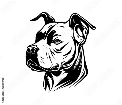 american pit bull terrier, american pit bull terrier Dog Face SVG, black and white american pit bull terrier vector photo