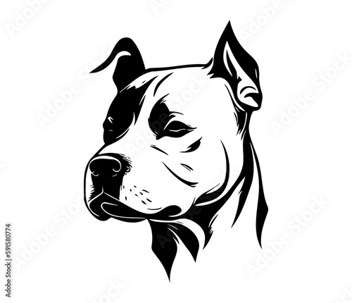 Foto american pit bull terrier, american pit bull terrier Dog Face SVG, black and whi