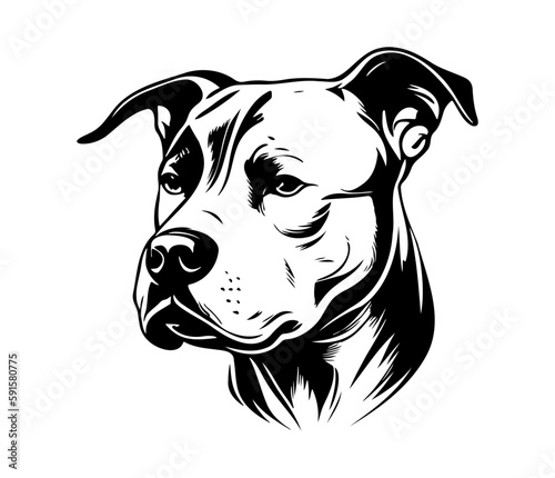 american pit bull terrier  american pit bull terrier Dog Face SVG  black and white american pit bull terrier vector