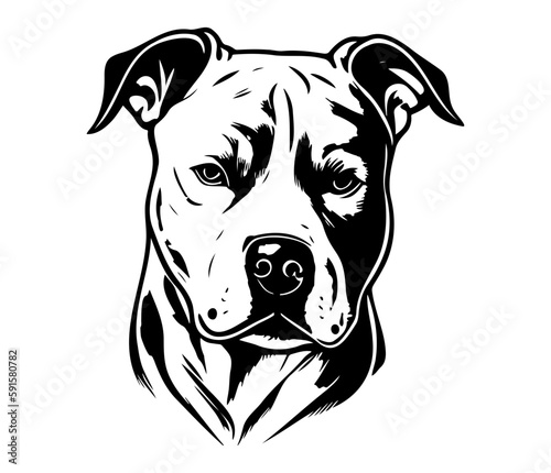 american pit bull terrier, american pit bull terrier Dog Face SVG, black and white american pit bull terrier vector photo