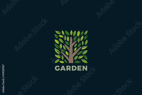 Tree Logo Square Shape Design Vector template. Park Garden Forest Eco Nature Logotype concept icon. photo