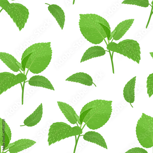 Melissa or mint seamless pattern. Botanical background with green leaves. Vector floral cartoon illustration.
