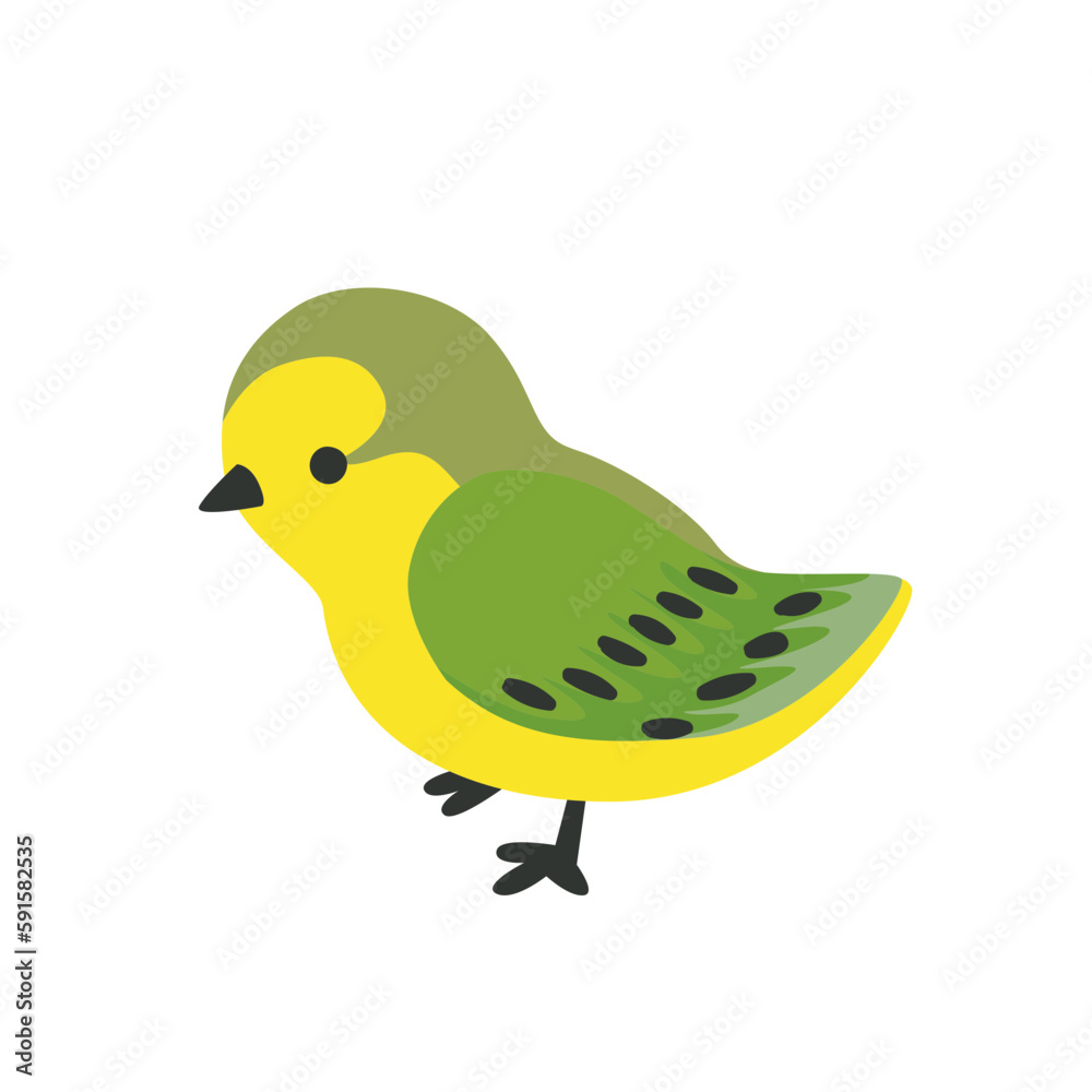 Bird Yellow wagtail Bird Yellow wagtail