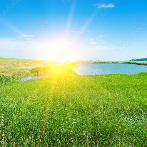 Estuary lake, reeds and sun.