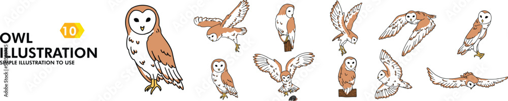 Fototapeta premium 10 OWL SIMPLE VECTOR ILLUSTRATION BUNDLE 