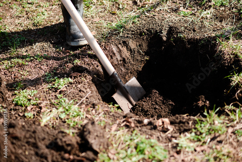 A man is planting a young tree. The farmer is digging the ground with a shovel for a small seedling. The concept of protection of the environment and ecology