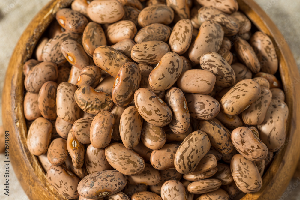 Dry Organic Raw Pinto Beans