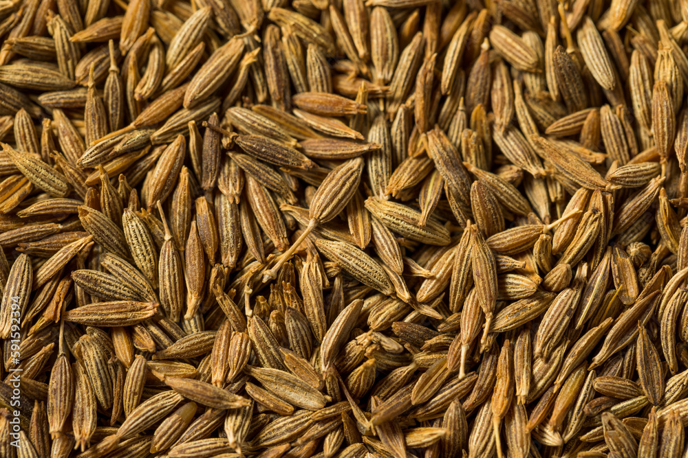 Dry Organic Raw Cumin Seeds