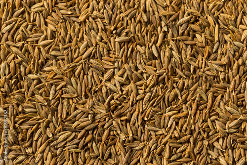 Dry Organic Raw Cumin Seeds