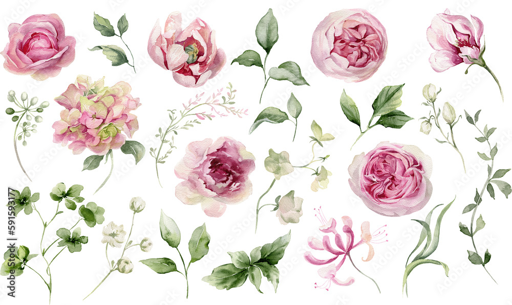 Watercolor flowers clipart. Pink peony, rose, hydrangea. Floral elements for card, invitation, decoration. Illustration isolated on transparent background