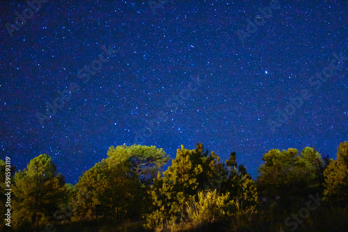 sky full of stars in green field with trees under dark sky in monte escobedo zacatecas 