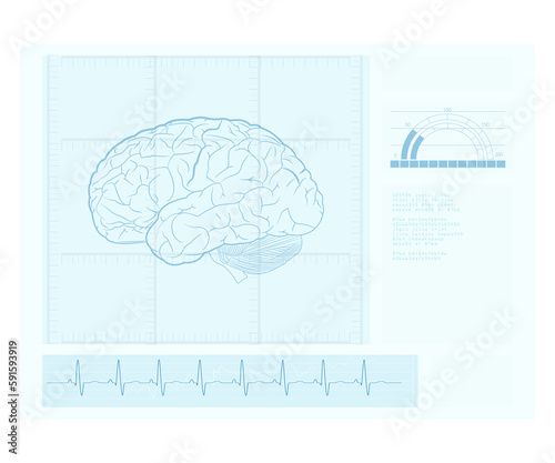 Digital representation of a human brain