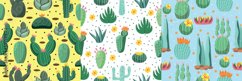 Different patterns with many cacti and succulents on color background
