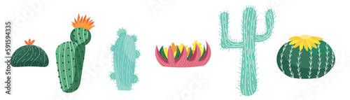 Set of different cacti and succulents on white background