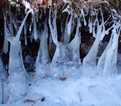 Icicles formed on grass in a ditch in the Palatinate Forest on a winter day near Winnweiler, Germany.