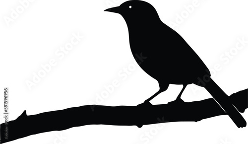 A cute bird silhouette art vector