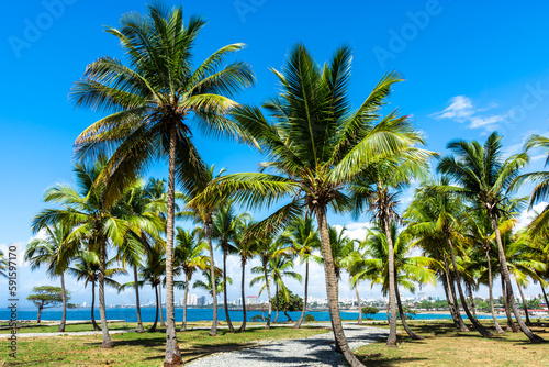 Dominican Republic Santo Domingo  beautiful Caribbean sea coast with turquoise water and palm trees