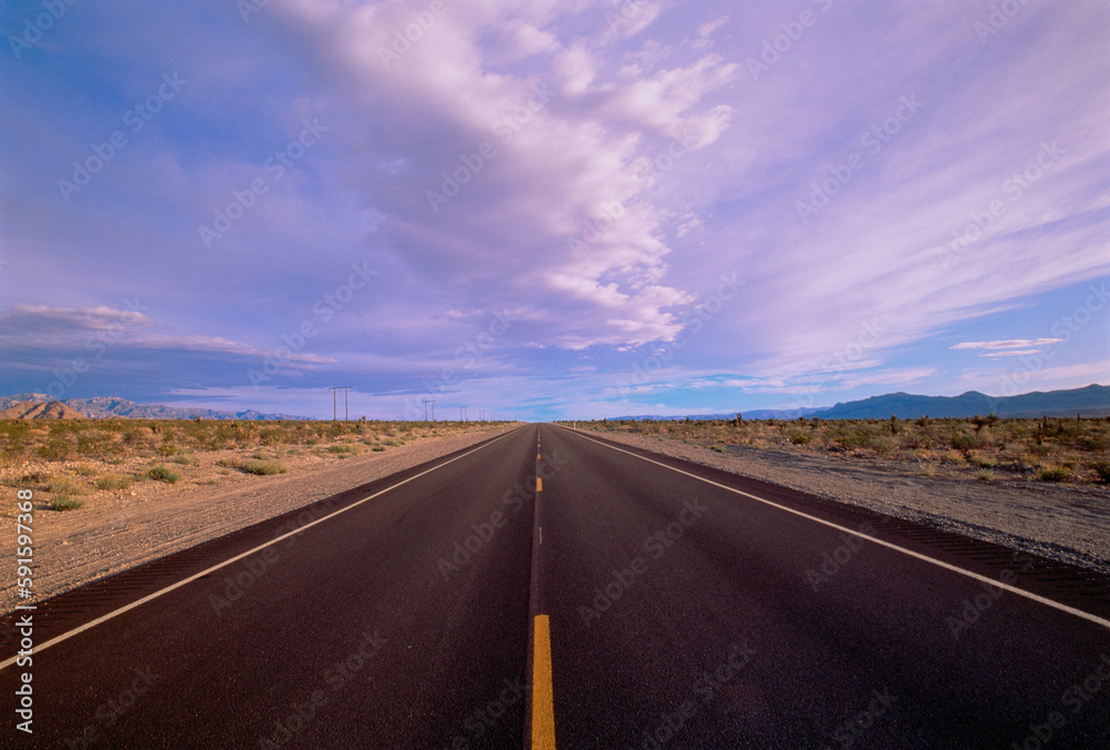 Road Nevada, USA
