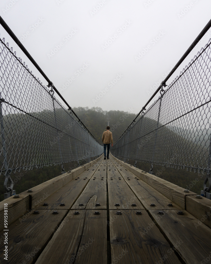Fototapeta premium huge suspension bridge in Germany