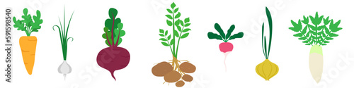 Set of vegetables isolated on white background. Hand-drawn vector design