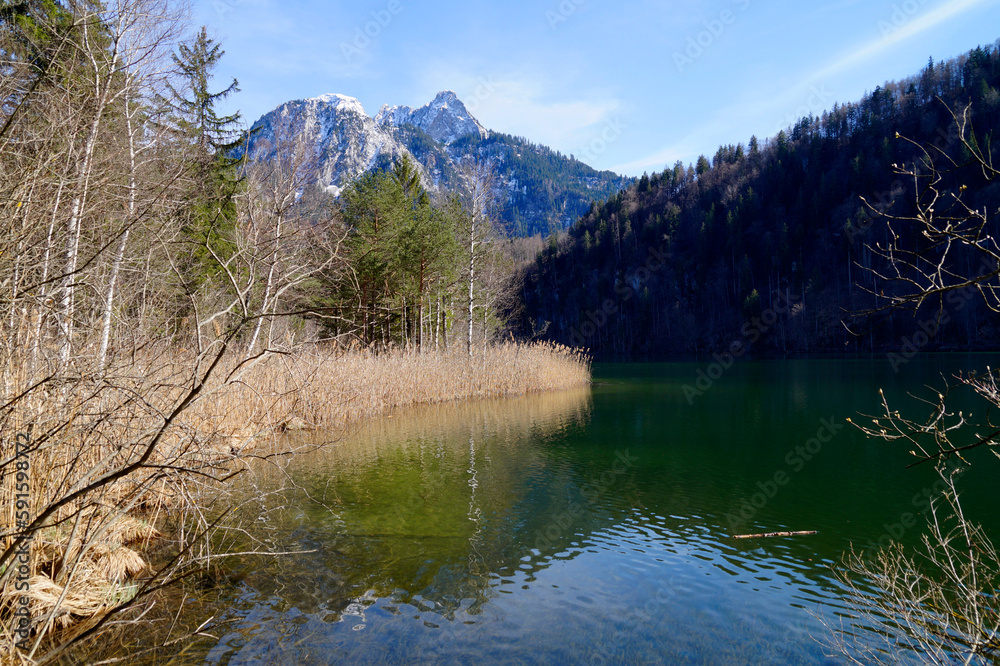 alpine lake Schwansee on a sunny April day in the snowy Bavarian Alps in Schwangau, Bavaria, Germany