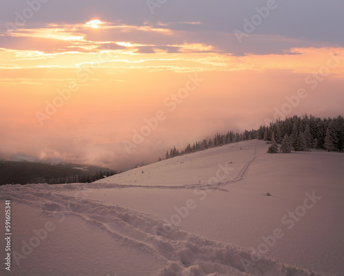 Winter evening calm mountain landscape with fir trees on slope (Kukol Mount, Carpathian Mountains, Ukraine).