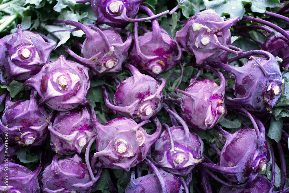 Close-up of Purple Kohlrabi at Farmers Market