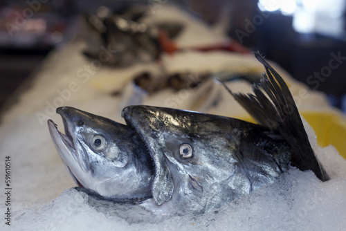 Fish for Sale at Market, Granville Island, Vancouver, British Columbia, Canada photo