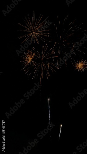 fireworks over the river