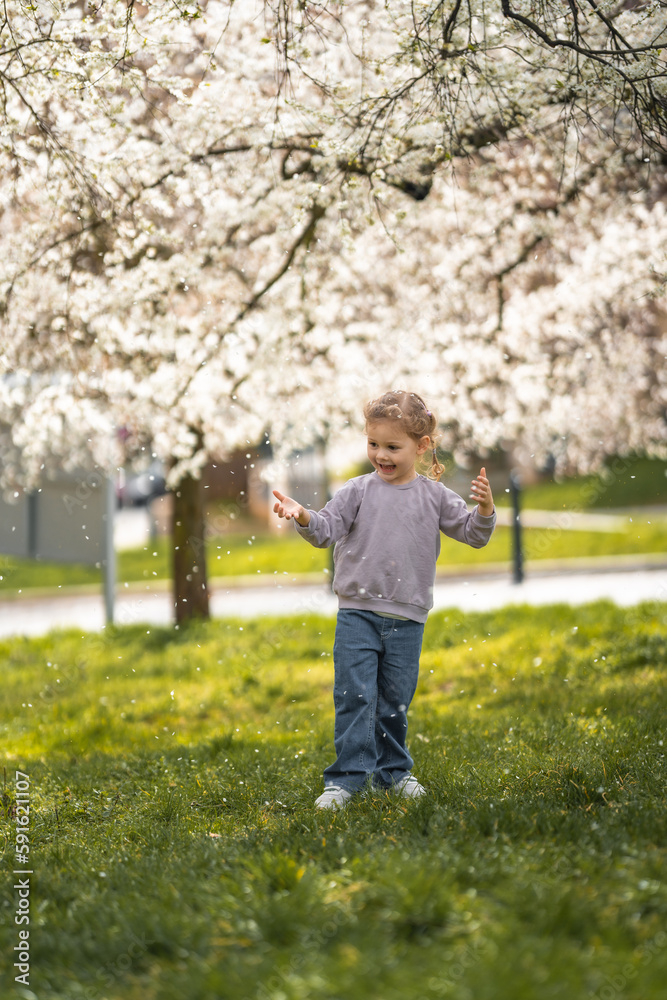 Little girl stands under a blooming apple tree. The wind blows and flower petals fly like snow in Prague park, Europe