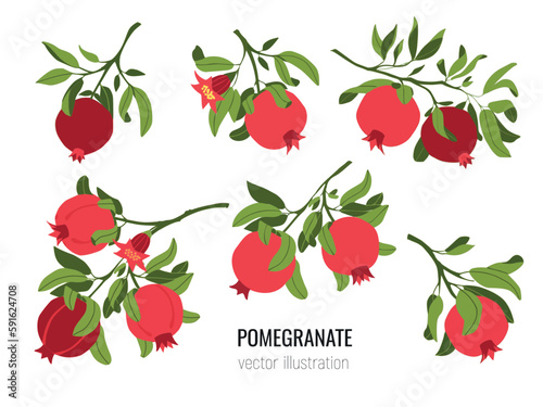 Isolated set of vector  hand drawn pomegranate branches. Fruit print. Sketch Exotic tropical juicy fruit, pomegranate with leaves and flowers. Vector cartoon simple style illustration. Doodle pattern
