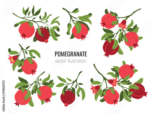 Isolated set of vector  hand drawn pomegranate branches. Fruit print. Sketch Exotic tropical juicy fruit, pomegranate with leaves and flowers. Vector cartoon simple style illustration. Doodle pattern