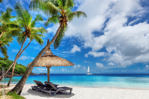 Fototapeta Naklejka Na Ścianę i Meble -  Paradise Caribbean Beach. Sandy beach with palm trees, sun umbrella and a sailing boat in the turquoise sea in Caribbean island. 