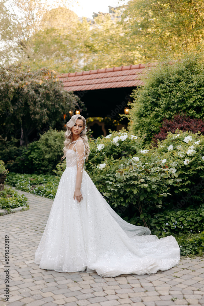 portrait beautiful bride with blond hair portrait beautiful bride with blond hair