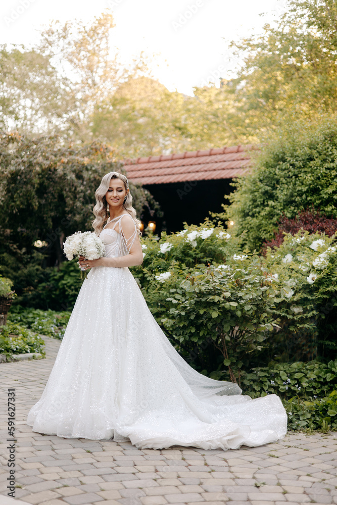 bride in wedding dress bride in wedding dress