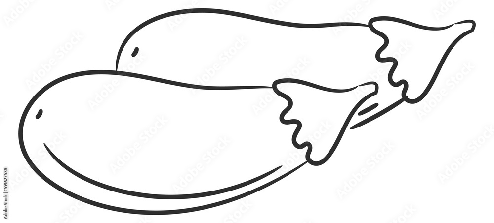 Eggplants doodle icon. Fresh autumn vegetable symbol Eggplants doodle icon. Fresh autumn vegetable symbol