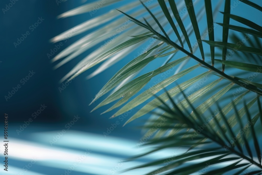 Blurred shadow from palm leaves on the light blue wall. AI generated Blurred shadow from palm leaves on the light blue wall. AI generated