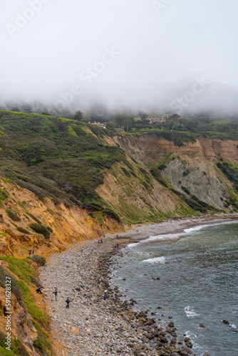 Beautiful and green hiking views in Bluff Cove in Palos Verdes, California, seeing lush green plants, wildflowers, and the rocky shore of the pacific ocean in Los Angeles.
