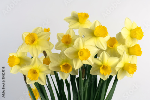 A vase of daffodils with the word daffodils on it