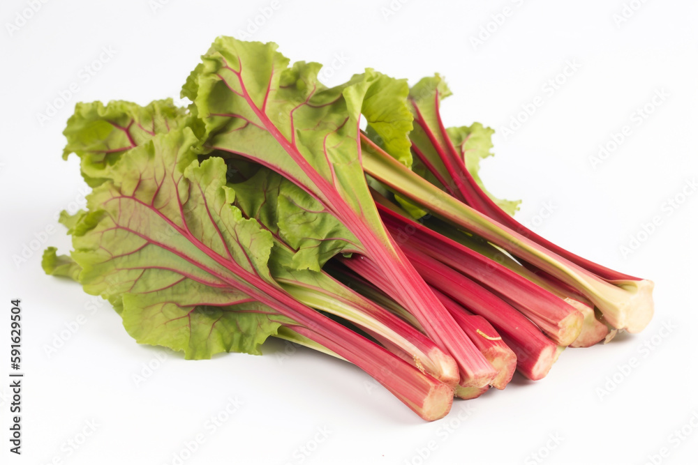 A bunch of rhubarb on a white background A bunch of rhubarb on a white background