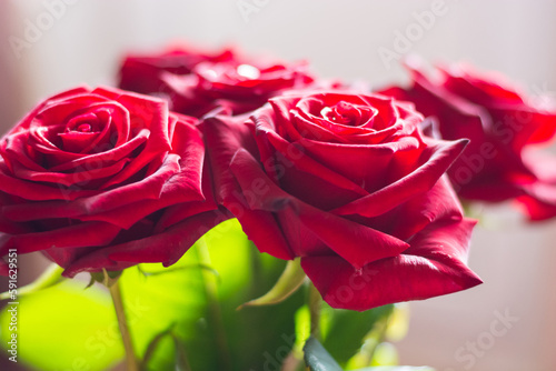 Obraz na płótnie Red Roses, bokeh w salonie