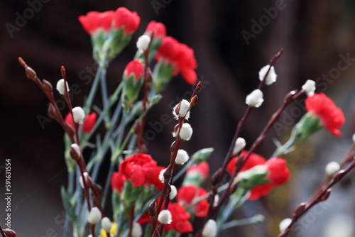 Fototapeta Naklejka Na Ścianę i Meble -  Bazie. Nowe pąki na gałązkach brzozy na wiosnę.  Wielkanoc. 
