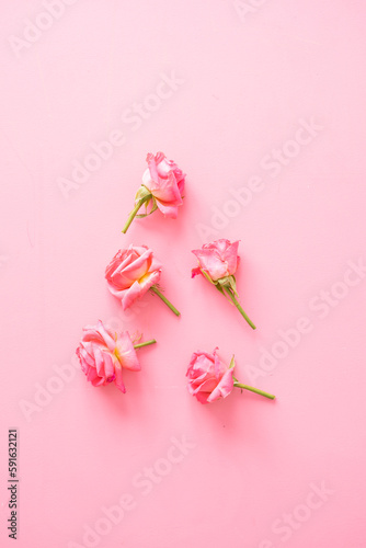 Assorted rose heads. Various soft roses and leaves scattered on pink background, top view